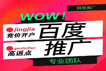 竞价SEM托管案例：广告投放的优化之道